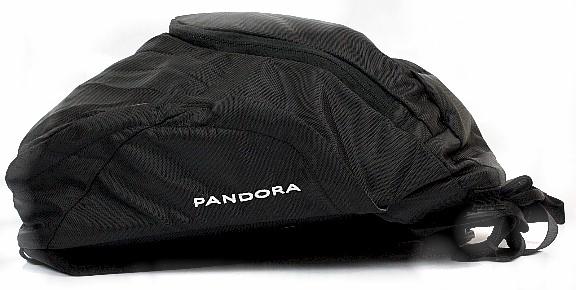 pandora north face backpack