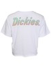 Dickies Girl Gradient Logo T-Shirt Juniors/Women's Short Sleeve Cropped