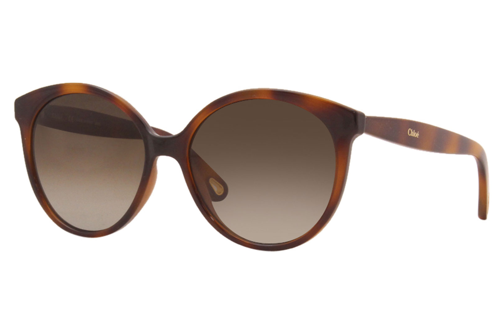 UPC 886895462303 product image for Chloe Sunglasses Women's CE765S 218 Havana/Brown Gradient Lenses 58 17 140mm - L | upcitemdb.com