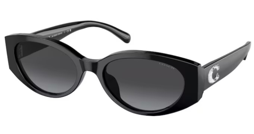 UPC 725125387309 product image for Coach CD473 HC8353U 50028G Sunglasses Women's Black/Grey Gradient 54 18 140 - Le | upcitemdb.com