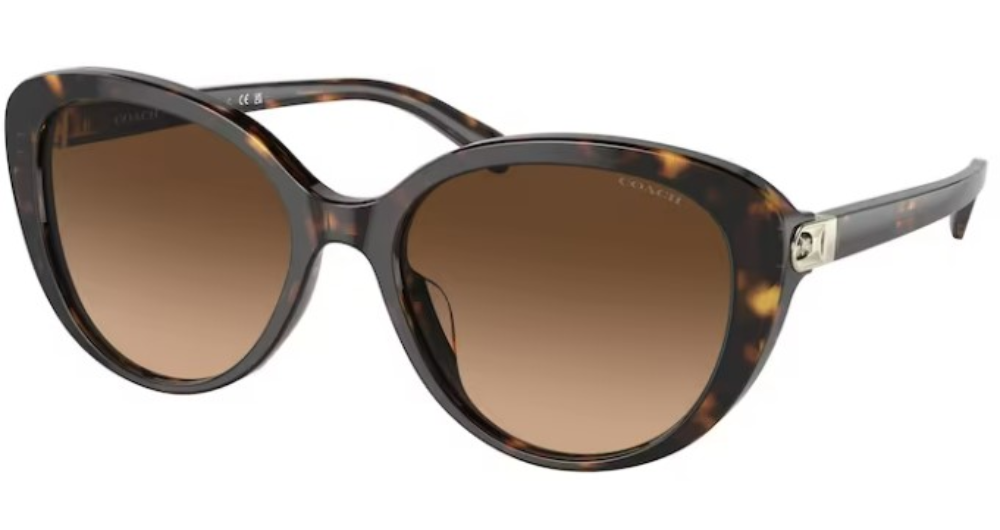 UPC 725125387033 product image for Coach CD479 HC8348U 512074 Sunglasses Women's Dark Tortoise/Brown Gradient 56mm  | upcitemdb.com