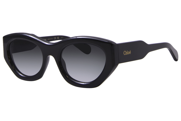  Chloe CH0220S Sunglasses Women's Cat Eye 