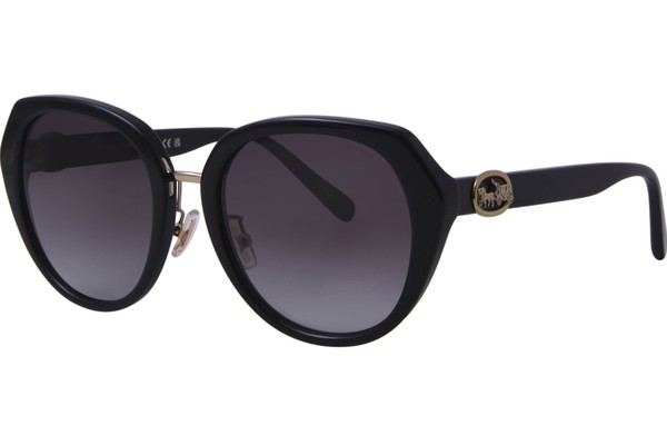 Coach C6189 HC8331 Sunglasses Women's Round Shape