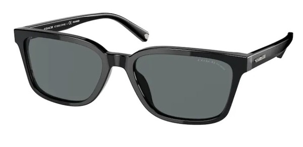 Coach C6196 HC8328U 500281 Sunglasses Men's Black/Polarized Dark Grey ...
