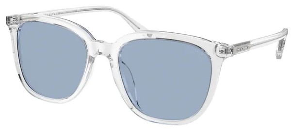 Coach C8006 HC8338U Sunglasses Men's Square Shape