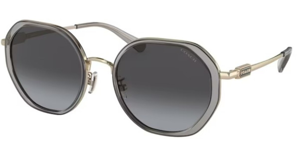 Coach CD477 HC7141 Sunglasses Women's Round Shape