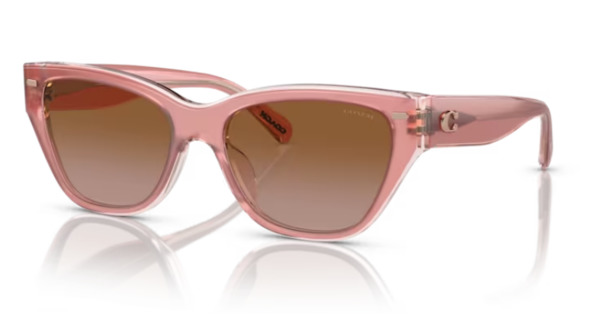 Coach CH571 HC8370U Sunglasses Women's Cat Eye