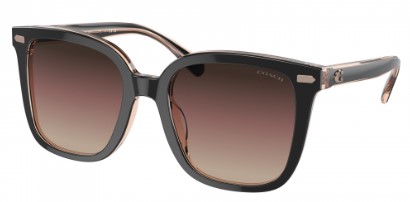 Coach CL918 HC8381U Sunglasses Women's Square Shape