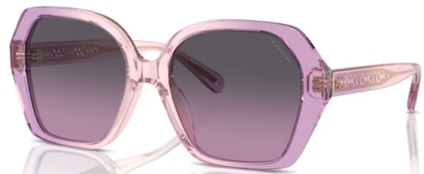  Coach CR615 HC8404U Sunglasses Women's 