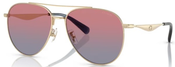 Coach CW193 HC7169 Sunglasses Women's Pilot