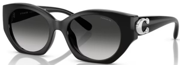 Coach CW194 HC8407U Sunglasses Women's Oval Shape