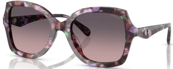  Coach CW225 HC8410U Sunglasses Women's Butterfly Shape 