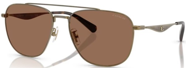 Coach CW404 HC7172 Sunglasses Men's Pilot