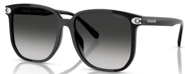 Coach CW419 HC8413BD Sunglasses Women's Square Shape