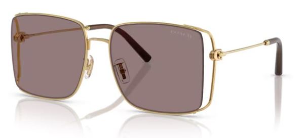 Coach CW429 HC7174D Sunglasses Women's Square Shape