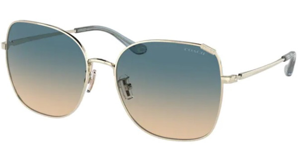  Coach HC7133 Sunglasses Women's Square Shape 