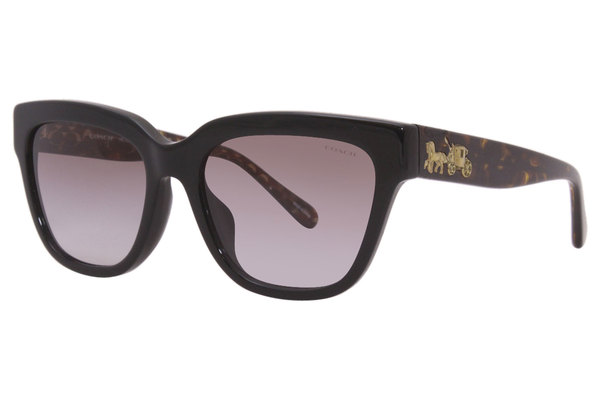  Coach L1021 HC-8242B Sunglasses Women's Fashion Cat Eye 