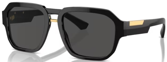 Dolce & Gabbana DG4464 Sunglasses Men's Pilot