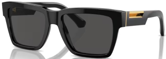  Dolce & Gabbana DG4465 Sunglasses Men's Pilot 