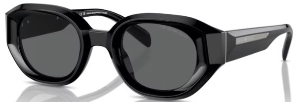 Emporio Armani EA4230U Sunglasses Men's