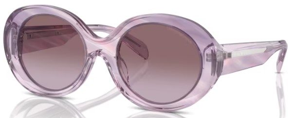  Emporio Armani EA4231U Sunglasses Women's Oval Shape 