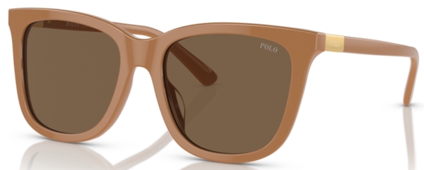  Polo Ralph Lauren PH4201U Sunglasses Women's Square Shape 