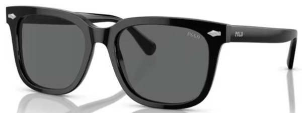  Polo Ralph Lauren PH4210 Sunglasses Men's Square Shape 