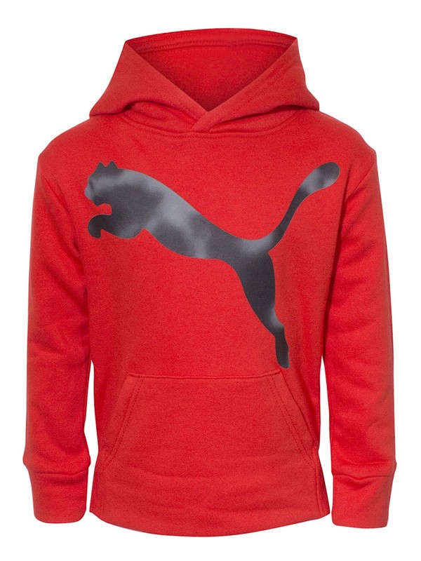 Puma Hooded Sweatshirt Little Boy's Pullover