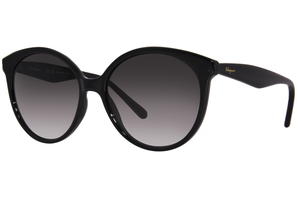 Salvatore Ferragamo SF1071S Sunglasses Women's Round Shape