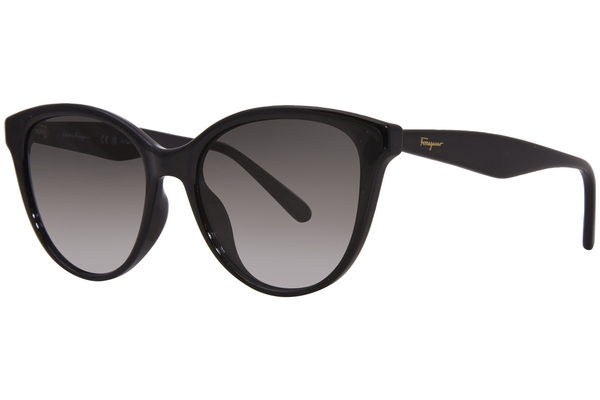 Salvatore Ferragamo SF1073S Sunglasses Women's Cat Eye