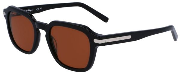  Salvatore Ferragamo SF1089S Sunglasses Men's Rectangle Shape 