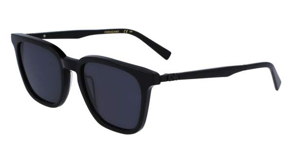 Salvatore Ferragamo SF1100S Sunglasses Men's Square Shape