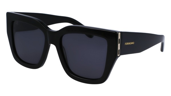  Salvatore Ferragamo SF1104S Sunglasses Women's Square Shape 