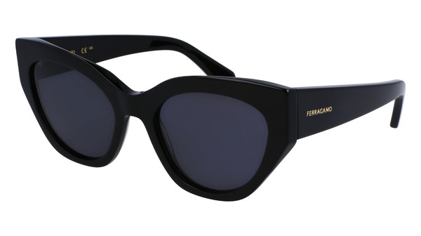 Salvatore Ferragamo SF1107S Sunglasses Women's Cat Eye