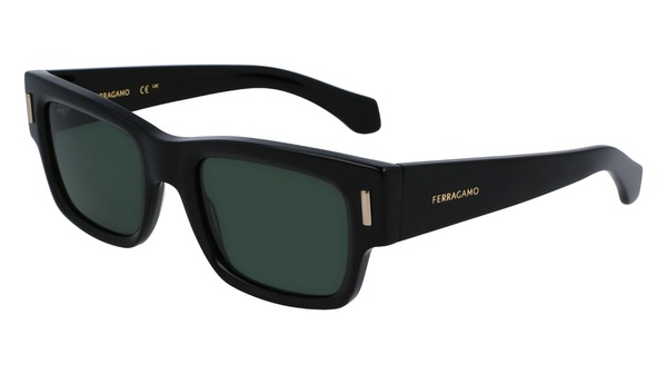  Salvatore Ferragamo SF2011S Sunglasses Men's Rectangle Shape 