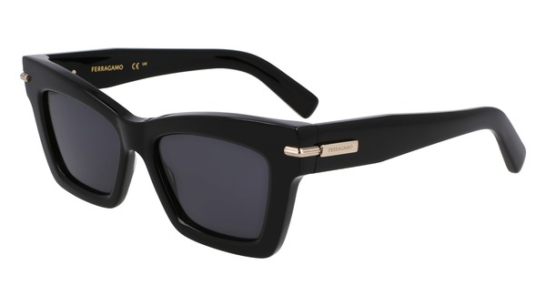 Salvatore Ferragamo SF2031S Sunglasses Women's Rectangle Shape