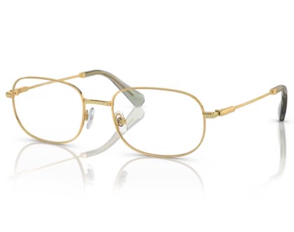 Swarovski SK1005 Eyeglasses Women's Full Rim Rectangle Shape