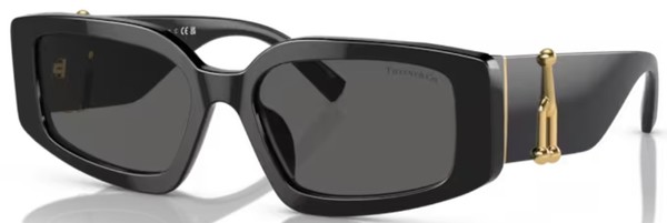  Tiffany & Co. TF4208U Sunglasses Women's Rectangle Shape 