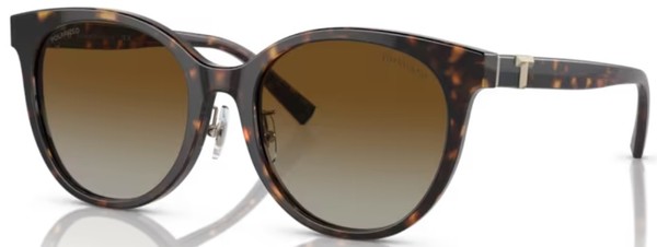  Tiffany & Co. TF4209D Sunglasses Women's Round Shape 