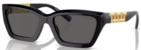 Tiffany & Co. TF4213 Sunglasses Women's Rectangle Shape