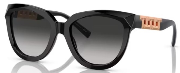  Tiffany & Co. TF4215 Sunglasses Women's Round Shape 