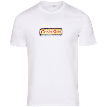 Calvin Klein Men's T-Shirt Watercolor Logo Crew Neck Short Sleeve