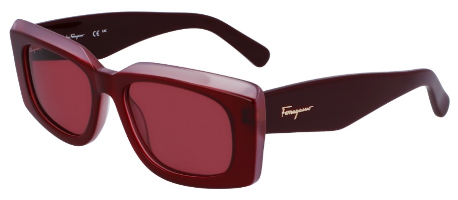 UPC 886895583121 product image for Salvatore Ferragamo SF1079S 614 Sunglasses Women's Burgundy/Rose 54 18 140 - Red | upcitemdb.com