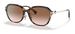 Coach C6199 HC8332D Sunglasses Women's Rectangle Shape