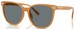 Coach CW428 HC8414BD Sunglasses Women's Round Shape