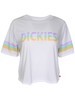 Dickies Girl Pastel Stripe T-Shirt Juniors/Women's Short Sleeve Cropped