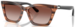 Emporio Armani EA4250U Sunglasses Women's Butterfly Shape