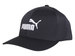 Puma Flex-Fit Baseball Cap Men's Big Cat Logo