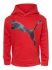 Puma Hooded Sweatshirt Little Boy's Pullover