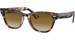 Ray Ban Laramie RB2201 Sunglasses Oval Shape